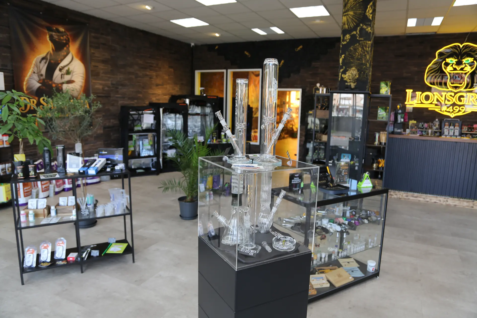 Glasvitrine auf schwarzem Sockel mit mehreren großen Wasserpfeifen aus Glas, dahinter Tische, Growzelte und der Tresen