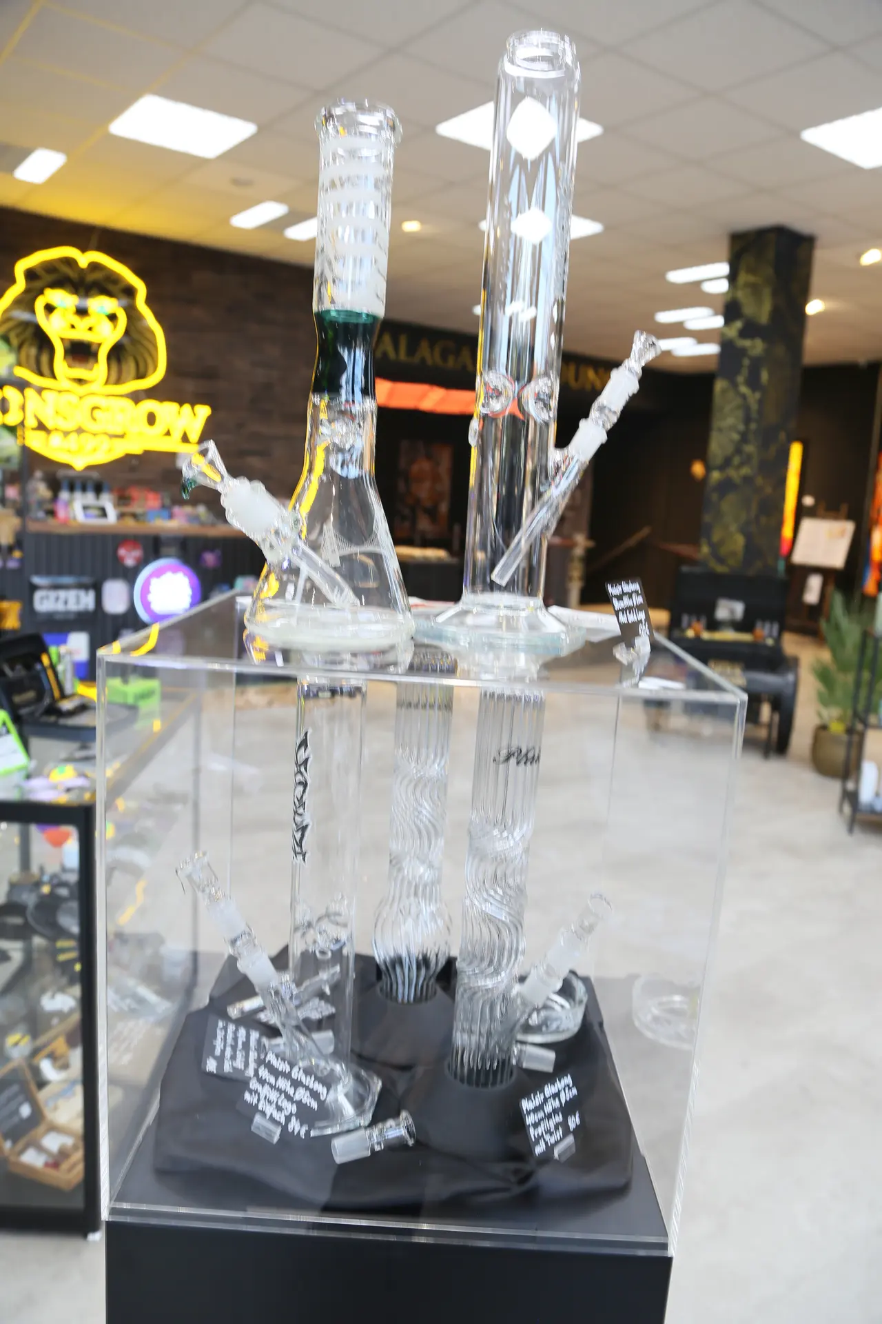 Zwei große Glasbongs auf einem Acrylkasten, darin weitere Bongs, im Hintergrund das leuchtende Lionsgrow-Logo