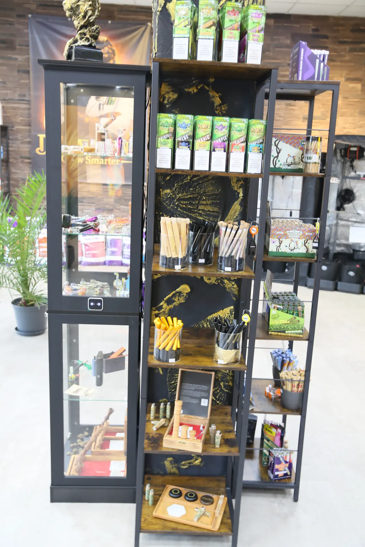 Hohe Glasvitrine und Holzregale am Pfeiler mit grünen Packungen, Gläsern mit Cones und Holzboxen