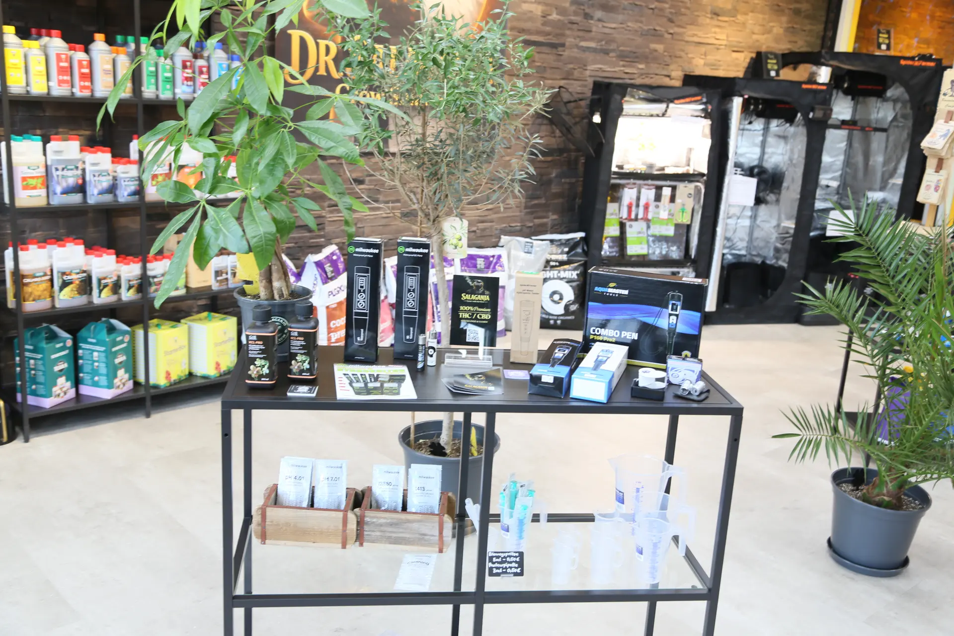 Schwarzer Tisch mit Produktschachteln und Holzkisten, dahinter Pflanzen, Regale und Growzelte